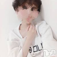 㡦ȯĥꥢ󥺥 ޤơ(ޥƥåȥ˥) β(2)