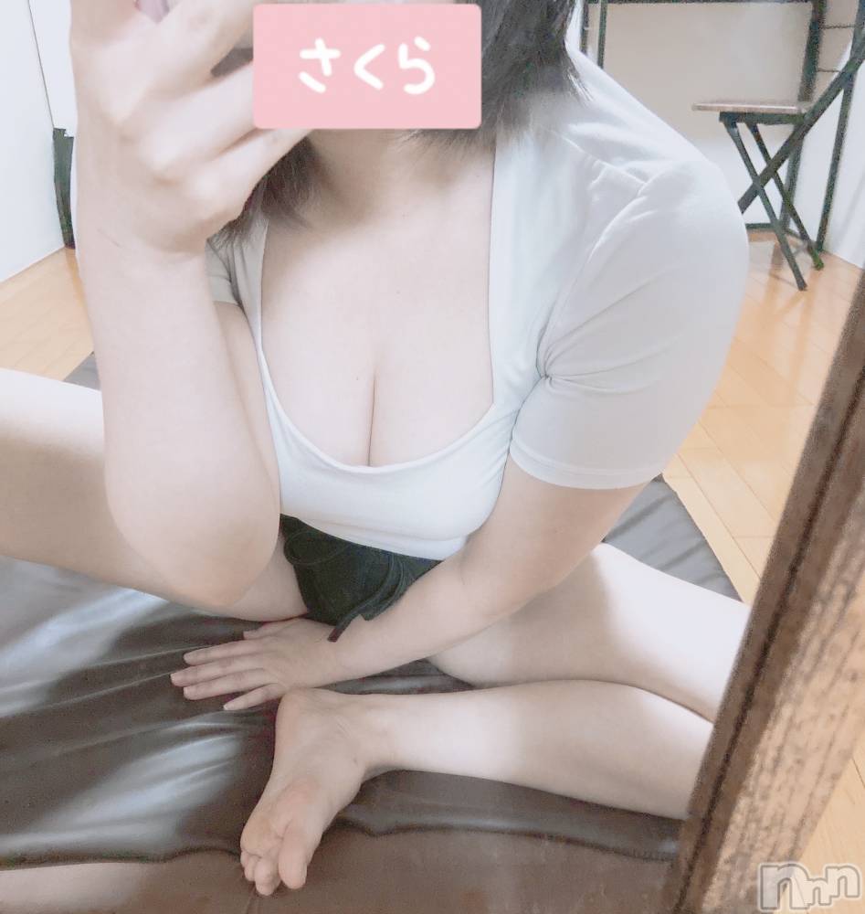 㡦ȯĥꥢ󥺥AMBERС(С) ͮڡ630ּ̥֥¤ϡ