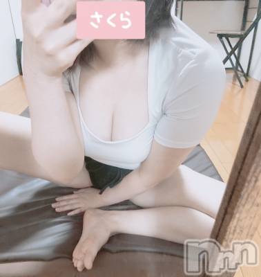 㡦ȯĥꥢ󥺥AMBERС(С) ͮڡ(24)630ּ̥֥¤ϡ
