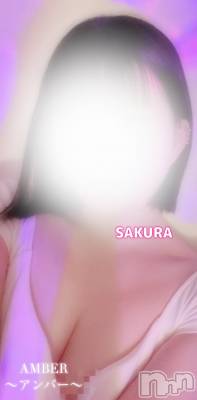 㡦ȯĥꥢ󥺥AMBERС(С) ͮڡ(24)824ֺ̥֥νжФෆ‪