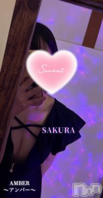 㡦ȯĥꥢ󥺥AMBERС(С) ͮڡ(24)911̥֥֥ϥޤꤹ💸