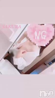 ʤˤ롩🤭