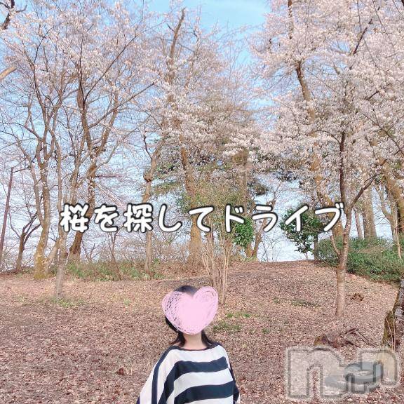 長岡人妻デリヘルBIANCA～主人の知らない私～長岡店(ビアンカナガオカテン) 柊　ゆうな(36)の4月20日写メブログ「サクラサク…🌸」