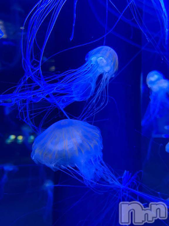 長岡デリヘルBIANCA～主人の知らない私～長岡店(ビアンカナガオカテン) 柊　ゆうな(36)の11月7日写メブログ「今日は出勤✨」