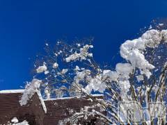 長岡デリヘルBIANCA～主人の知らない私～長岡店(ビアンカナガオカテン) 柊　ゆうな(36)の4月3日写メブログ「恋しい」