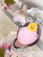 長岡デリヘルBIANCA～主人の知らない私～長岡店(ビアンカナガオカテン) 柊　ゆうな(36)の4月8日写メブログ「お花見に行ってきました🌸」