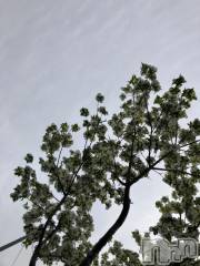 長岡デリヘルBIANCA～主人の知らない私～長岡店(ビアンカナガオカテン) 柊　ゆうな(36)の5月10日写メブログ「あーるはれたひーるさがりー🎶」