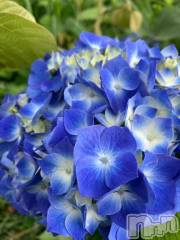 長岡デリヘルBIANCA～主人の知らない私～長岡店(ビアンカナガオカテン) 柊　ゆうな(36)の6月28日写メブログ「花ひらく…ってえっちな響きじゃない？」