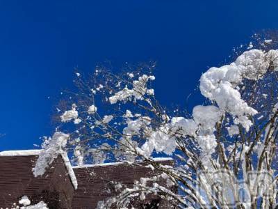 長岡デリヘル BIANCA～主人の知らない私～長岡店(ビアンカナガオカテン) 柊　ゆうな(36)の4月3日写メブログ「恋しい」