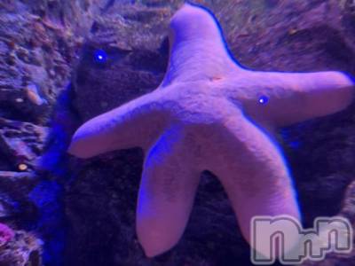 長岡デリヘル BIANCA～主人の知らない私～長岡店(ビアンカナガオカテン) 柊　ゆうな(36)の4月16日写メブログ「18日(金)出勤…なるか？？💓」