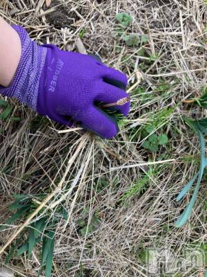 長岡デリヘル BIANCA～主人の知らない私～長岡店(ビアンカナガオカテン) 柊　ゆうな(36)の4月19日写メブログ「汗がだくだく…💦」