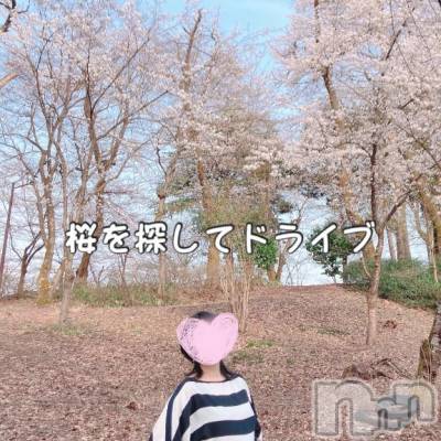 長岡デリヘル BIANCA～主人の知らない私～長岡店(ビアンカナガオカテン) 柊　ゆうな(36)の4月20日写メブログ「サクラサク…🌸」