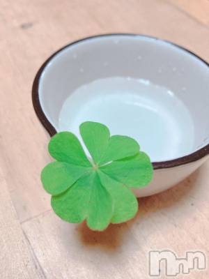 長岡デリヘル BIANCA～主人の知らない私～長岡店(ビアンカナガオカテン) 柊　ゆうな(36)の5月24日写メブログ「幸せな予感💕」