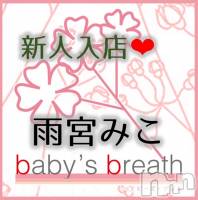 㿷ȯĥꥢ󥺥baby's breath(٥ӡ ֥쥹) ܤߤڿۤ͡315̥֥֤ꤤޤ