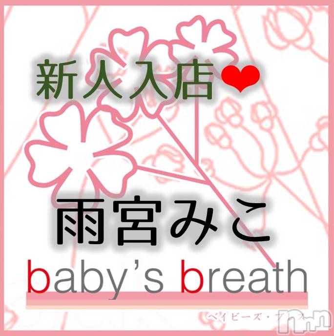 㡦ȯĥꥢ󥺥baby's breath(٥ӡ ֥쥹) 2025ǯ315̥֥֤ꤤޤ
