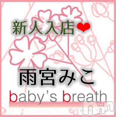 㡦ȯĥꥢ󥺥baby's breath(٥ӡ ֥쥹) ܤߤ315̥֥֤ꤤޤ