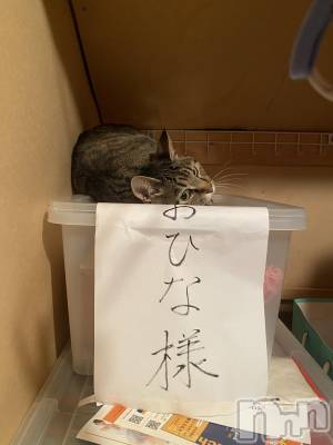 åȥСBar.Re(С륤) 󤿤(26)53ֽ̥֥