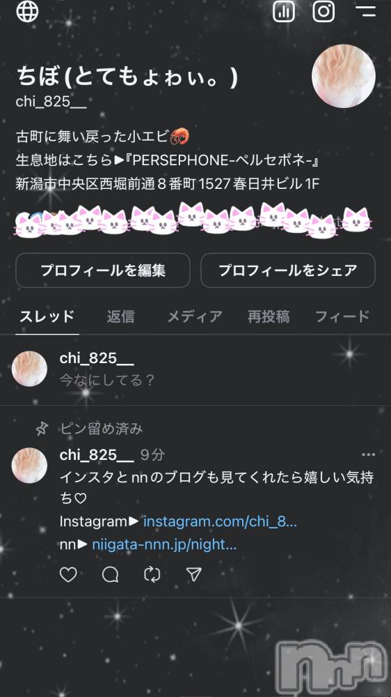 Įʥå륺СPersephone(ڥ륻ݥ) 316̥֥֤🤔💭
