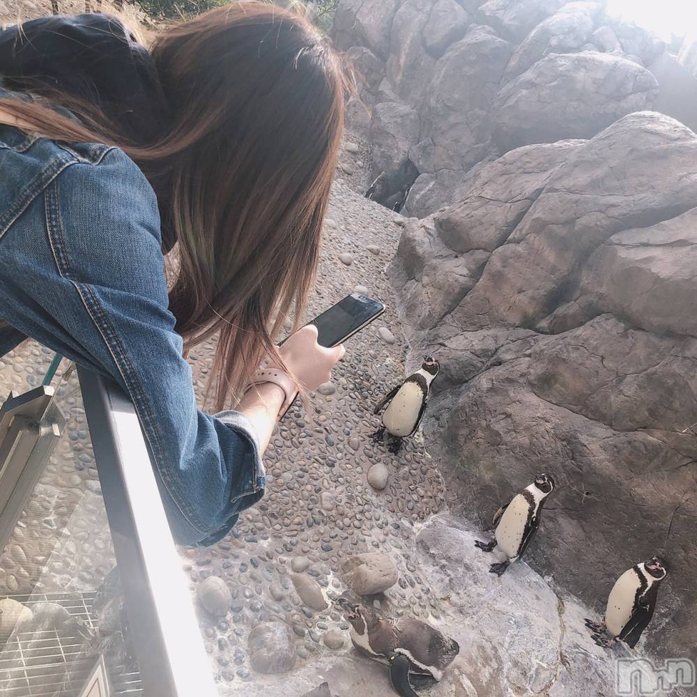 Įʥå륺СPersephone(ڥ륻ݥ) 619̥֥֤ڤڤ🐧🐧🐧