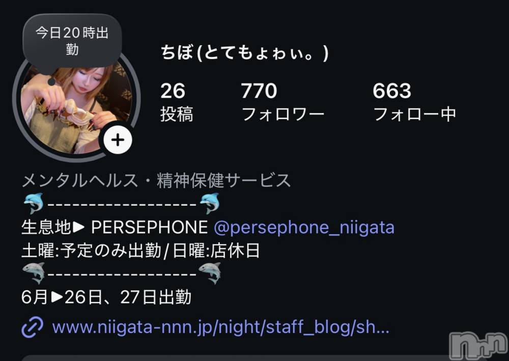 Įʥå륺СPersephone(ڥ륻ݥ) 626̥֥֤㤤̿𓄹📡•.*