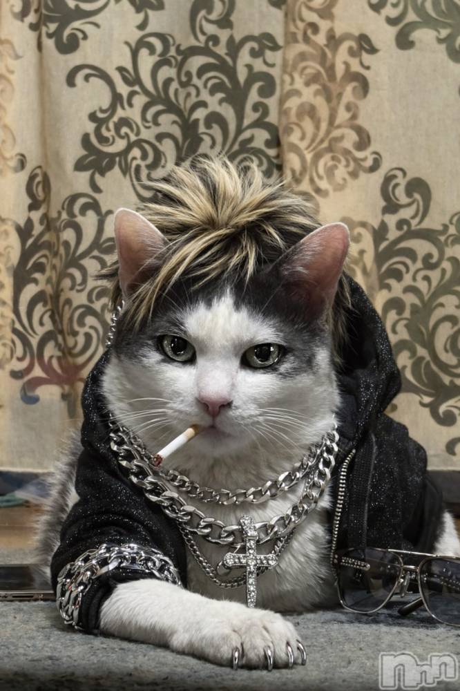 ��Į���ʥå��������륺�С�Persephone(�ڥ륻�ݥ�) ������12��25���̥�֥����֤ä礣👼🏻🫶🏻��