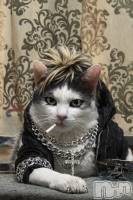 ��Į���ʥå��������륺�С�Persephone(�ڥ륻�ݥ�) ������12��25���̥�֥����֤ä礣👼🏻🫶🏻��