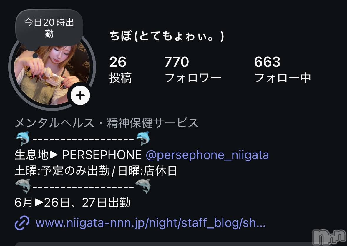 Įʥå륺СPersephone(ڥ륻ݥ) 2025ǯ626̥֥֤㤤̿𓄹📡•.*