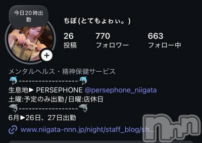 Įʥå륺СPersephone(ڥ륻ݥ) 626̥֥֤㤤̿𓄹📡•.*