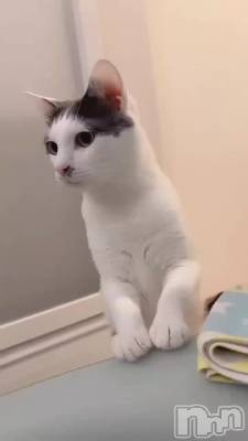 ˤˤ🐈‍⬛🎀