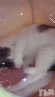 ͤͤ🐈‍⬛︎︎🫧