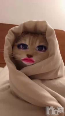 θĤƤ🐈⸒⸒⸒⸒