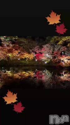 ���꤮��🍁.*����