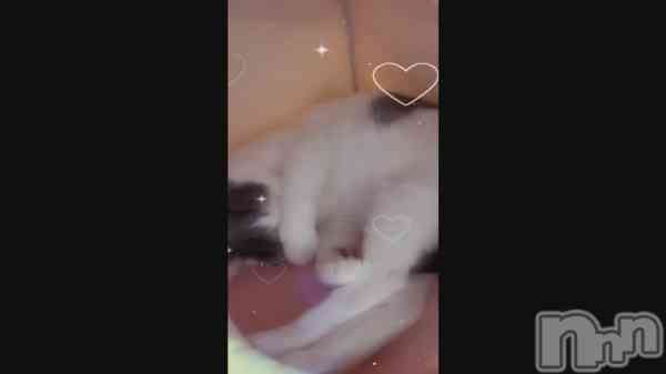 ֤ͤͤ&#x1F408;&#x200D;&#x2B1B;&#xFE0E;&#xFE0E;&#x1FAE7;