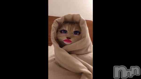 ֿθĤƤ&#x1F408;&#x2E12;&#x2E12;&#x2E12;&#x2E12;