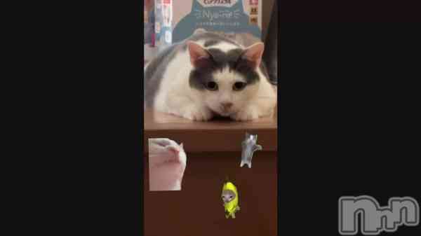 &#x1F6A8;Ǥ&#x1F6A8;