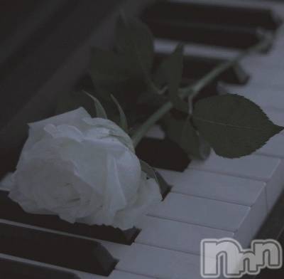 ʥå륺СLounge Anshu(饦󥸥󥷥) (24)318̥֥֤٤ߤǤ𐔌՞·՞𐦯