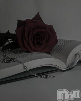 ʥå륺СLounge Anshu(饦󥸥󥷥) (24)716̥֥☝🏻(▿)