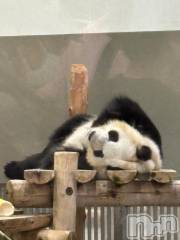 新潟デリヘル奥様特急 新潟店(オクサマトッキュウニイガタテン) みおり(20)の6月25日写メブログ「完売でち☆」