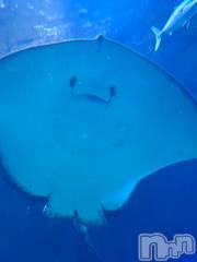 新潟デリヘル奥様特急 新潟店(オクサマトッキュウニイガタテン) みおり(20)の8月12日写メブログ「最後の最後まで🙋🏻‍♀️」