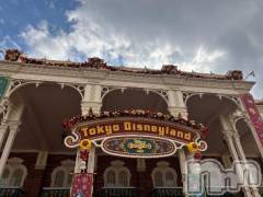 新潟デリヘル奥様特急 新潟店(オクサマトッキュウニイガタテン) みおり(20)の11月18日写メブログ「やっぱこれ！！」