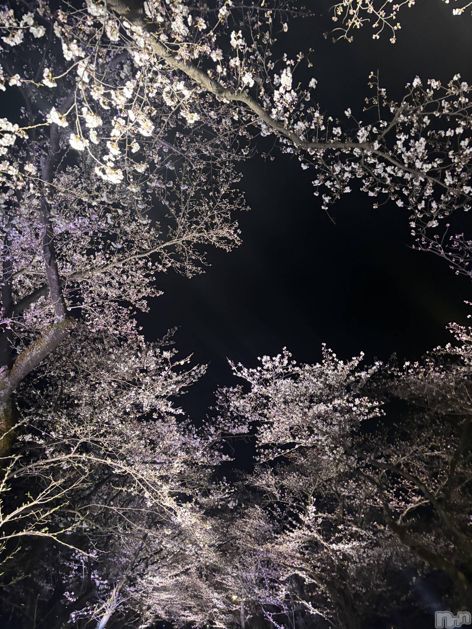 åȥСBar.Re.Muse(Сߥ塼) 2025ǯ412̥֥🌸(^_^)🌸
