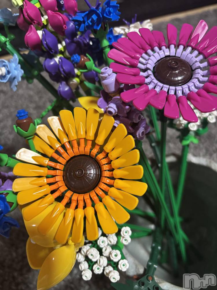 ��ë����Х��顦�����CLUB��Paladin(����֡��ѥ�ǥ���) �� �����4��10���̥�֥�����🧩��