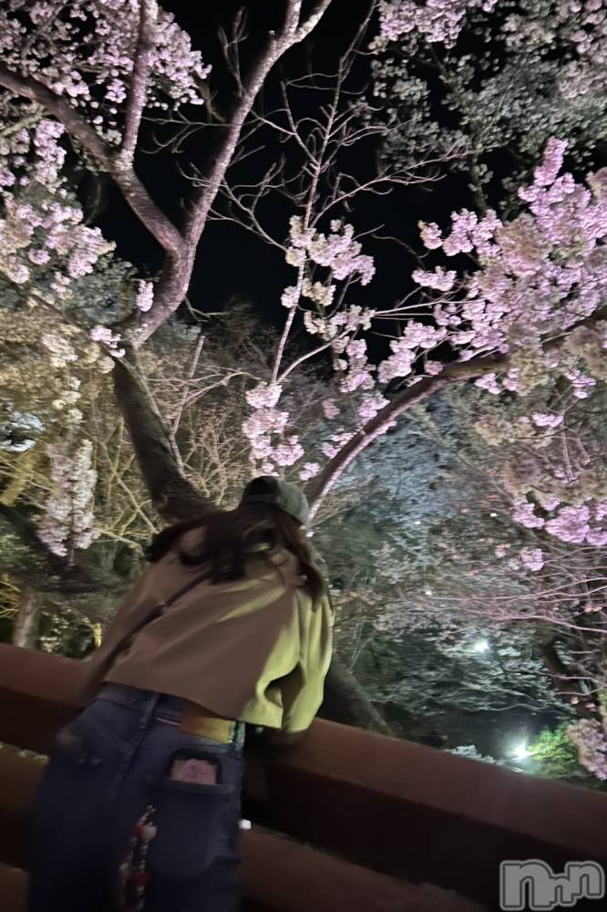 ��ë����Х��顦�����CLUB��Paladin(����֡��ѥ�ǥ���) �� �����4��17���̥�֥�����🌃🌸��