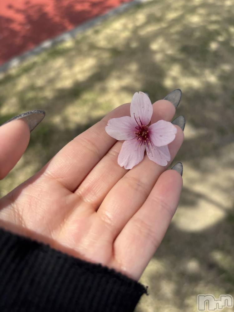 ��ë����Х��顦�����CLUB��Paladin(����֡��ѥ�ǥ���) �� �����4��30���̥�֥�����4��饹�ȡ�