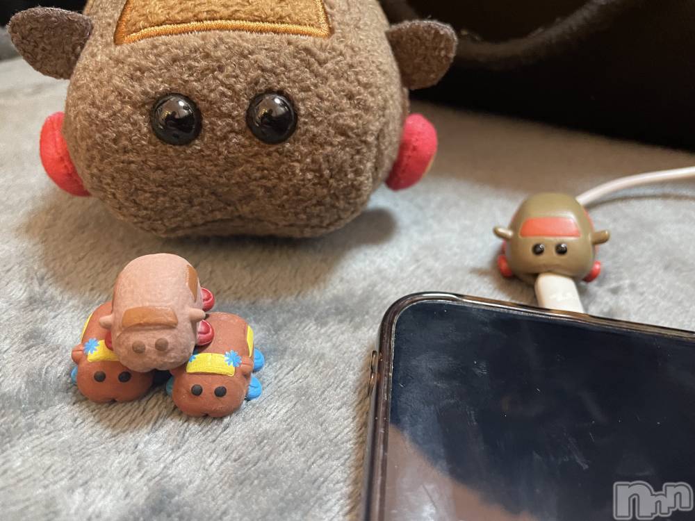 ��ë����Х��顦�����CLUB��Paladin(����֡��ѥ�ǥ���) �� �����5��27���̥�֥����֥�륫������