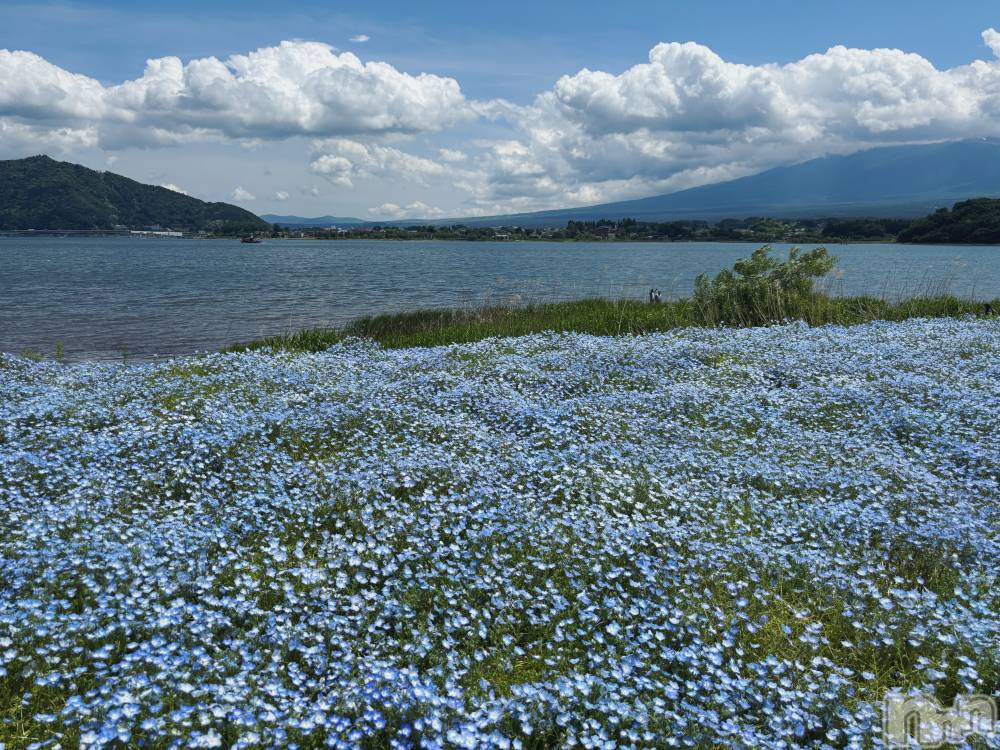 ��ë����Х��顦�����CLUB��Paladin(����֡��ѥ�ǥ���) �� �����5��30���̥�֥����֥ͥ�ե���Ȫ✿︎��