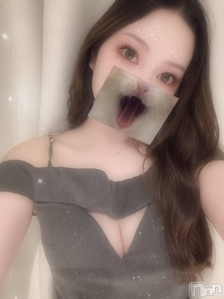 ��ë����Х��顦�����CLUB��Paladin(����֡��ѥ�ǥ���) �� �����8��25���̥�֥�������������ˤ��🐈🐾��