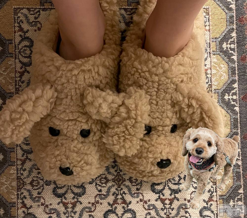 ��ë����Х��顦�����CLUB��Paladin(����֡��ѥ�ǥ���) �� �����9��1���̥�֥����֤��ä��ꡪ������