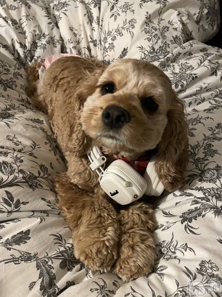 ��ë����Х��顦�����CLUB��Paladin(����֡��ѥ�ǥ���) �� �����9��20���̥�֥����ְ���💘��