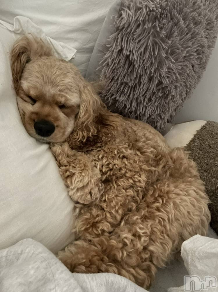 ��ë����Х��顦�����CLUB��Paladin(����֡��ѥ�ǥ���) �� �����10��13���̥�֥�����10��13�� 12��35ʬ�Υ֥�����